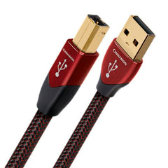 Cinnamon USB