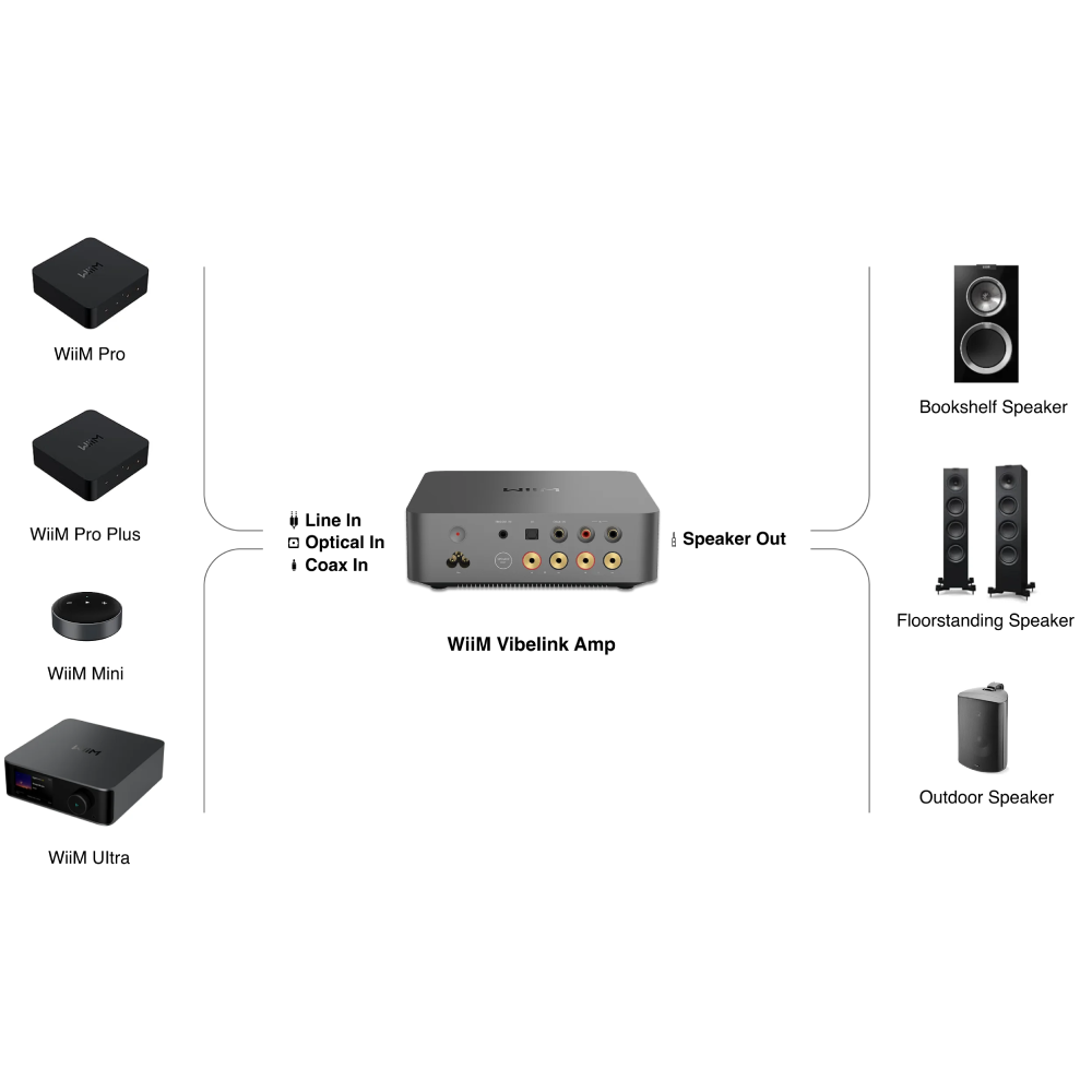 Vibelink Amp
