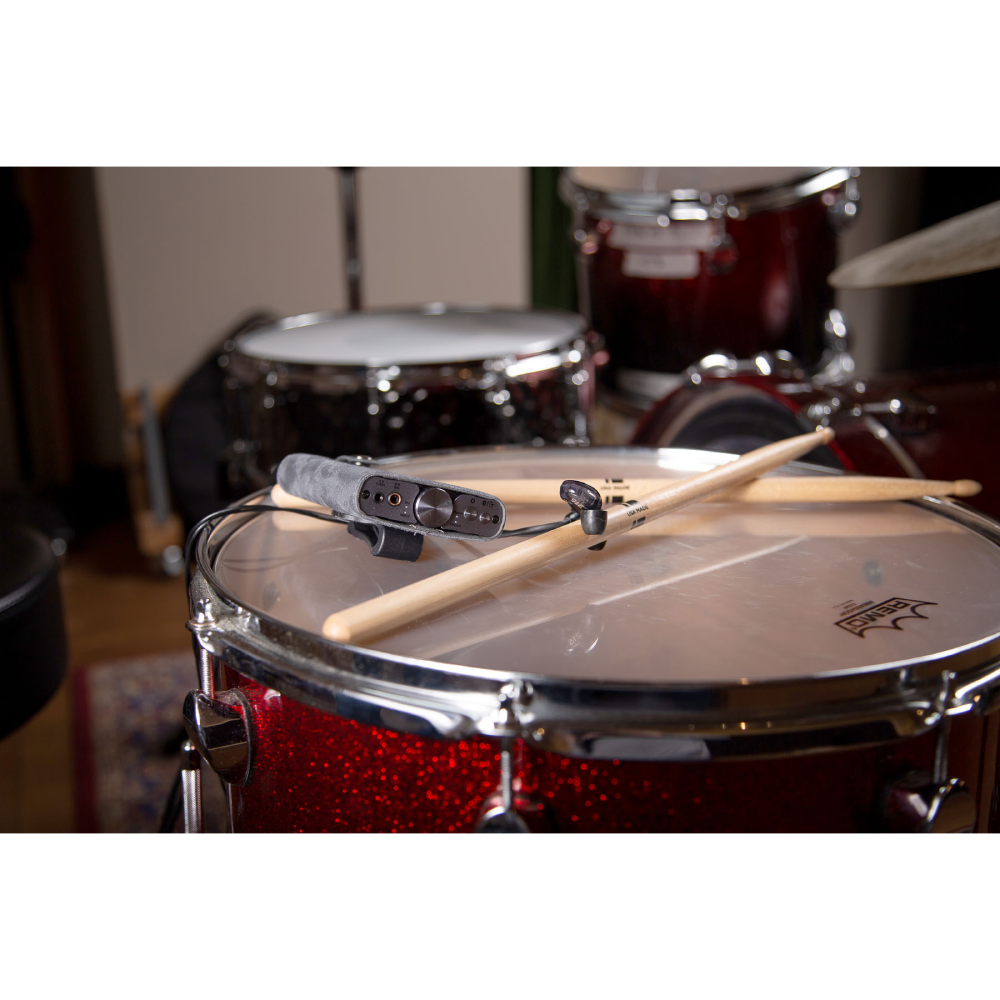 xDSD Gryphon Pro Pack