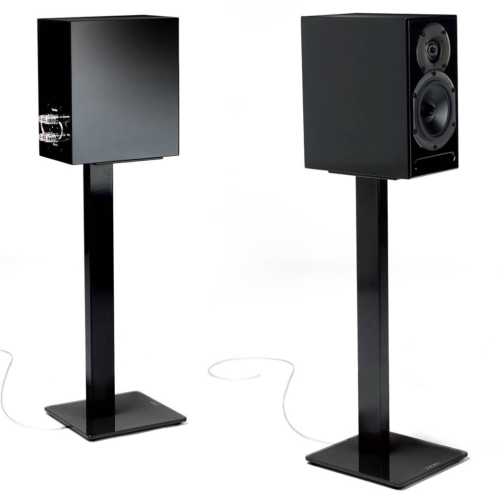 This Stand