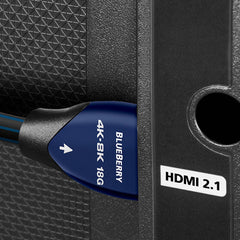 BlueBerry HDMI